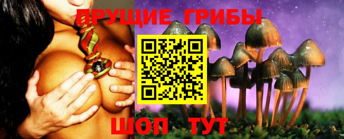 Бор  как найти закладки  Вход с VPN  Галлюциногенные грибы Magic Shrooms  Галлюциногенные грибы прущие грибы 